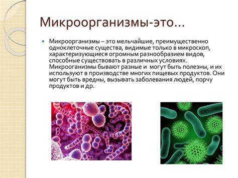 Способы предотвратить размножение микроорганизмов на мочалке кесе