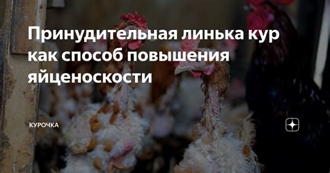 Способ 2: Принудительная перезагрузка