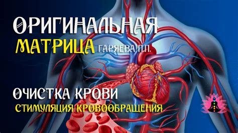 Стимуляция кровообращения