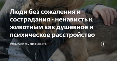 Стихи как источник сострадания и общения