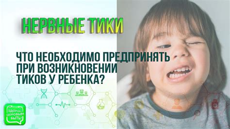 Стресс и нервные тики у собаки