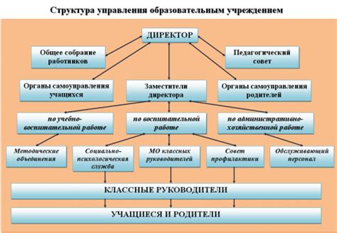 Структура и доступность учебных возможностей в разных образовательных учреждениях