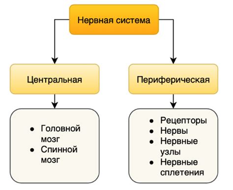 Структура и функции лесоторговой базы