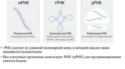 Суть и роль ссылки в передаче информации