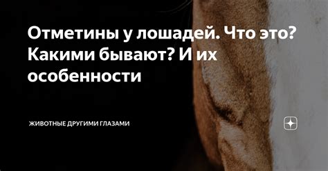 Таинственные отметины и их скрытый смысл