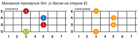 Тема 1: Определение и назначение мостика на четырёхструнной гитаре