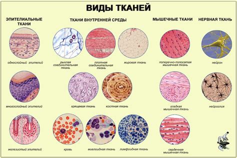 Темные ткани и теплоизоляция