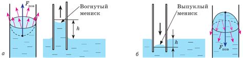 Тепловое расширение и поверхностное натяжение жидкости