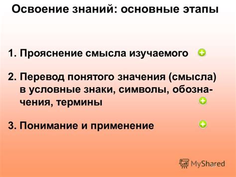 Термины: применение и значения