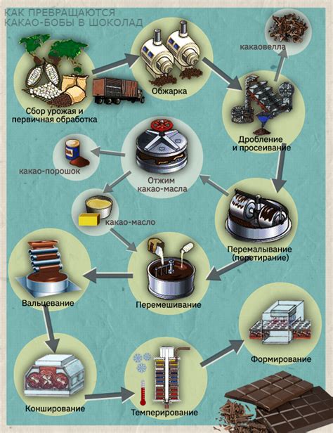 Технология помола какао-бобов