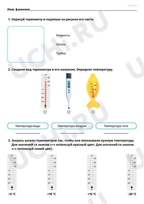 Традиционные способы определения состояния здоровья по телесным сигналам