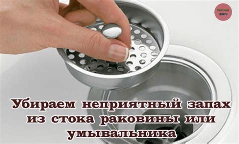 Убираем неприятный запах из свинины: простые и эффективные методы