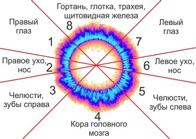 Удивительное открытие: значимость птичьего помета для энергетического состояния