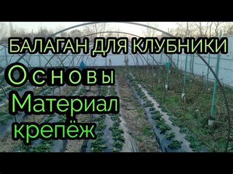 Украшение балагана для клубники: красивые и творческие идеи