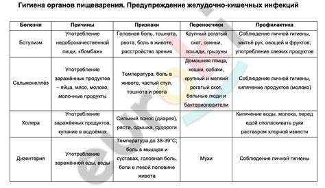 Улучшение пищеварения и облегчение симптомов желудочно-кишечных расстройств