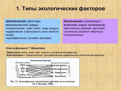 Улучшение устойчивости растений к неблагоприятным условиям