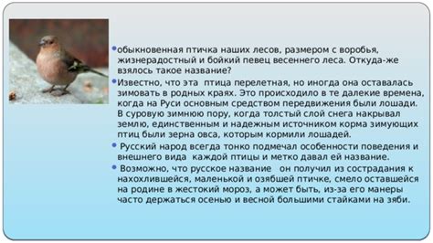 Уникальные черты поведения воробья, испытывающего потребность стукнуть в стекло