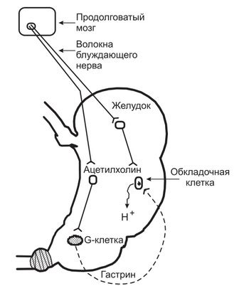 Усиление желудочной кислотности