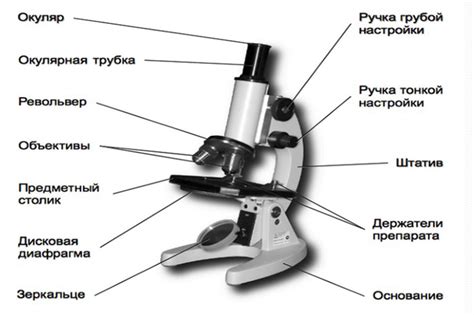 Установка и закрепление световой полосы: лучшие методы и рекомендации