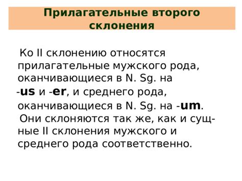 Утверждение 2: Прилагательные всегда имеют форму мужского рода