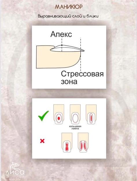 Учет особенностей ногтевой пластины при выборе подходящего размера