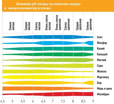 Учитывайте географическую доступность провайдеров: выбор в зависимости от региона