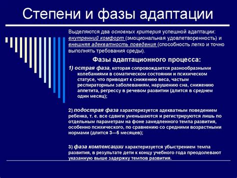 Фазы адаптации: восстановление формы после долгого перерыва