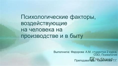 Факторы, воздействующие на оценку стоимости активов в процессе ликвидации