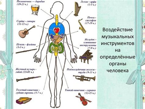 Физиологическое значение прикосновения к животу: воздействие на организм