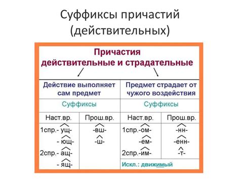 Функции и особенности действительных и страдательных причастий