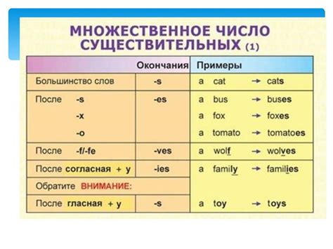 Функция выявления особенностей существительных в русском языке