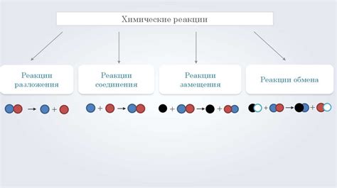 Химические процессы разложения белков