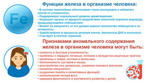 Что означает высокий содержание железа в крови в 35 единиц