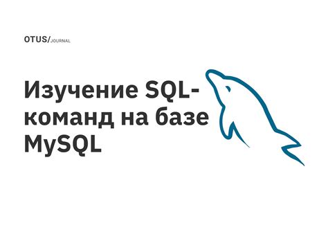 Шаг 1: Изучение возможностей текстовых команд на Мегафоне