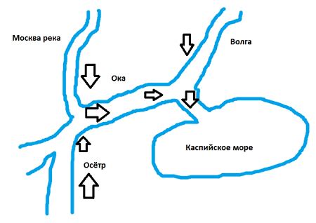 Шаг 1: Определение наличия ТТК в вашей местности