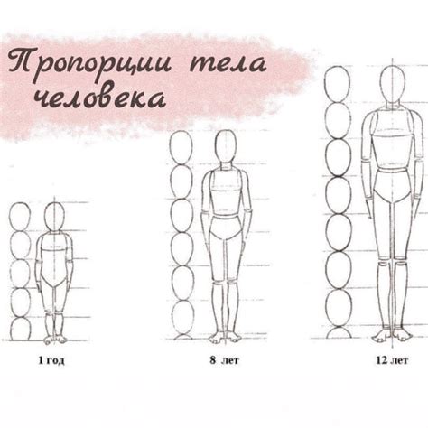 Шаг 2: формирование основы для куклы: создание тела и подгонка пропорций