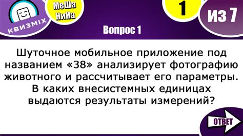 Шаг 5: Установка вопросов в квиз: типы вопросов и варианты ответов