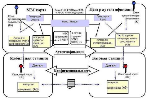 Эволюция и функциональное предназначение фрагментов мира в Атерносе