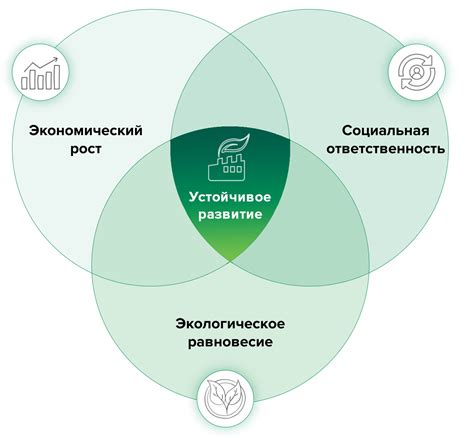 Экологическая ответственность и устойчивое развитие: приоритеты сети продуктовых магазинов