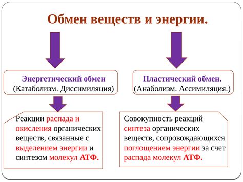 Экономия энергии и сохранение питательных веществ