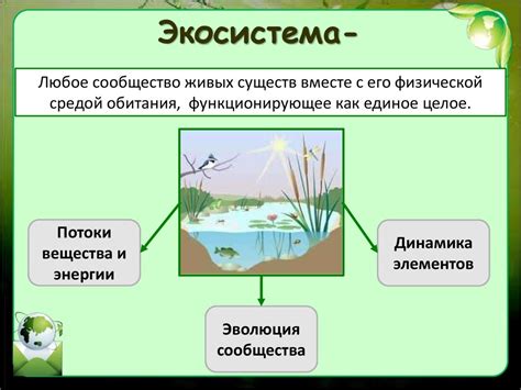 Экосистема и поддержка сообщества