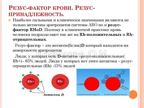 Экспериментальные подходы к выявлению характеристик необычной крови у человека: доступные методы