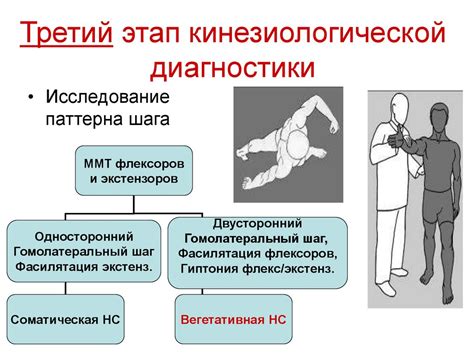 Этапы использования сизов