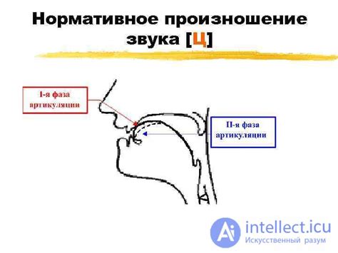 Эффективные тренировки произношения звука во время чтения увлекательных сказок