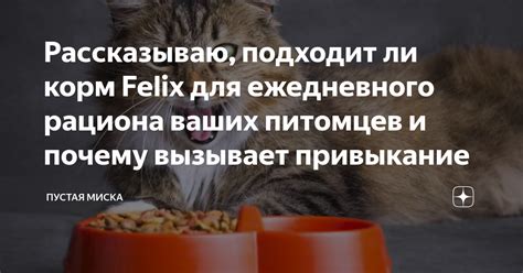  Важность исключения жировых продуктов и масел из рациона домашних питомцев 