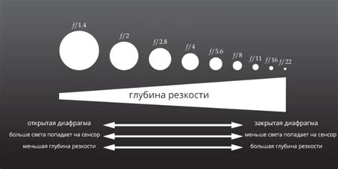  Влияние диафрагмы на глубину резкости и степень размытия фона 