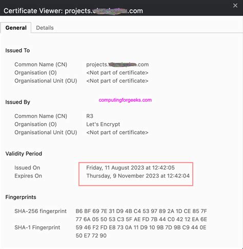  Защитите ваш поддомен с помощью установки SSL-сертификата 