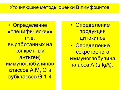  Иммунограмма для оценки работы лимфоцитов и функционирования иммунной системы 