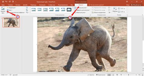  Использование функции "Удалить фон" в PowerPoint 