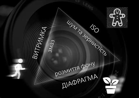  Как выбрать оптимальную выдержку и ISO для лучших фотографий 